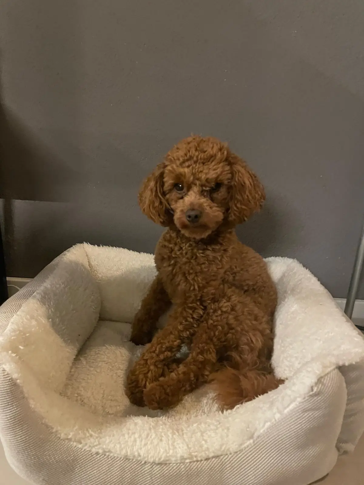 Sfeerbeeld van schoonheidssalon Bellezza in Zevenaar